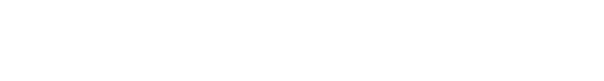 Carolina Waterworks Inc
